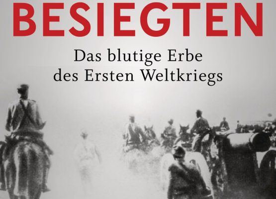 Die Besiegten von Robert Gerwarth